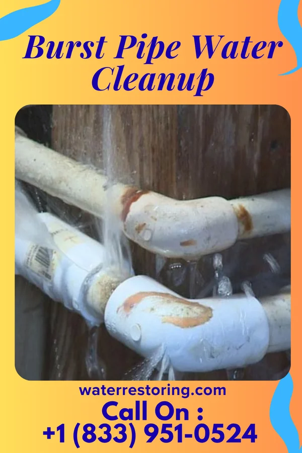 Burst Pipe Water Cleanup in Wynnedale, IN