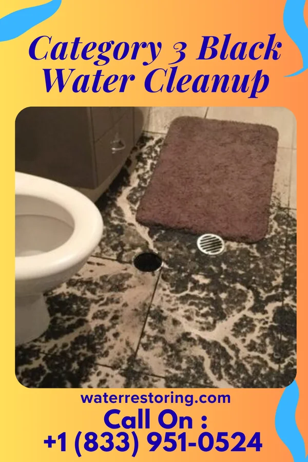 Category 3 Black Water Cleanup in Wynnedale, IN