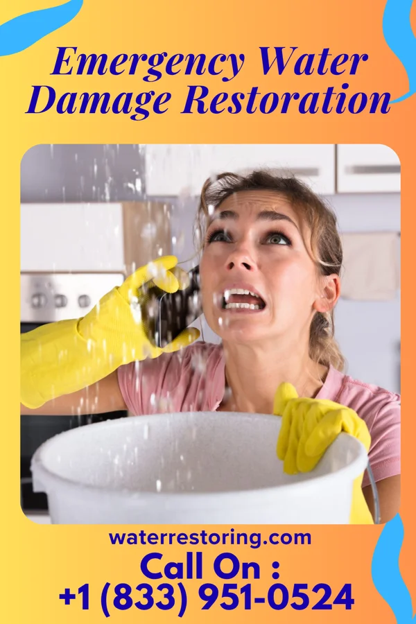Emergency Water Damage Restoration in Wynnedale, IN