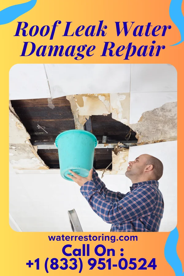 Roof Leak Water Damage Repair in Wynnedale, IN