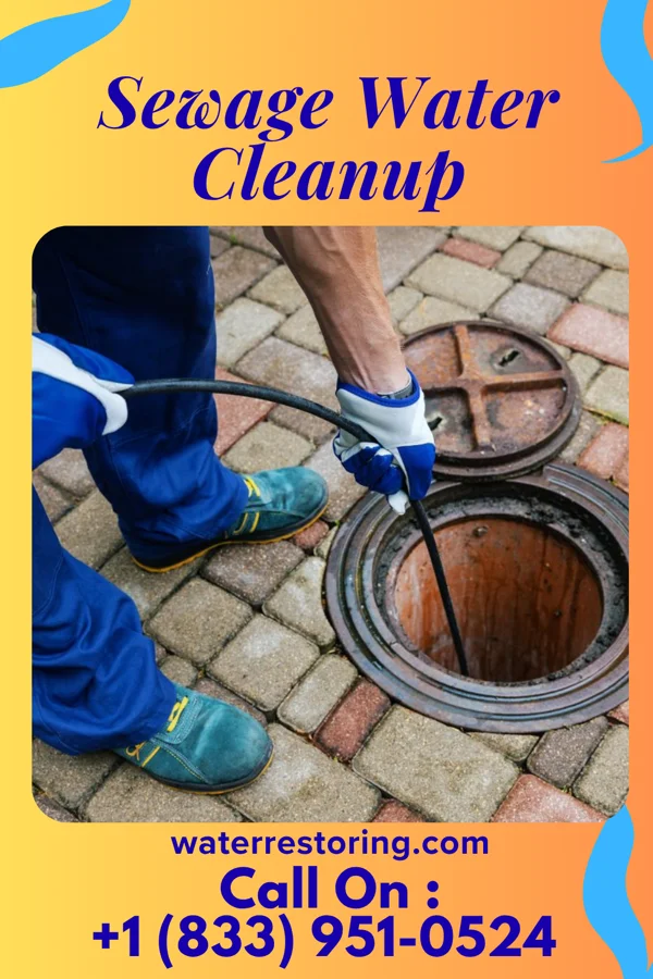 Sewage Water Cleanup in Wynnedale, IN