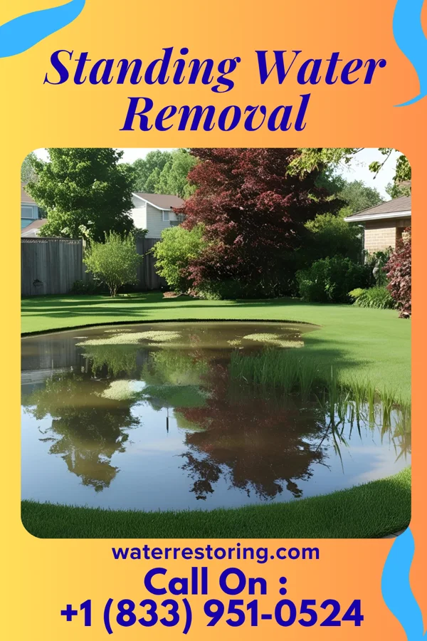 Standing Water Removal in Wynnedale, IN